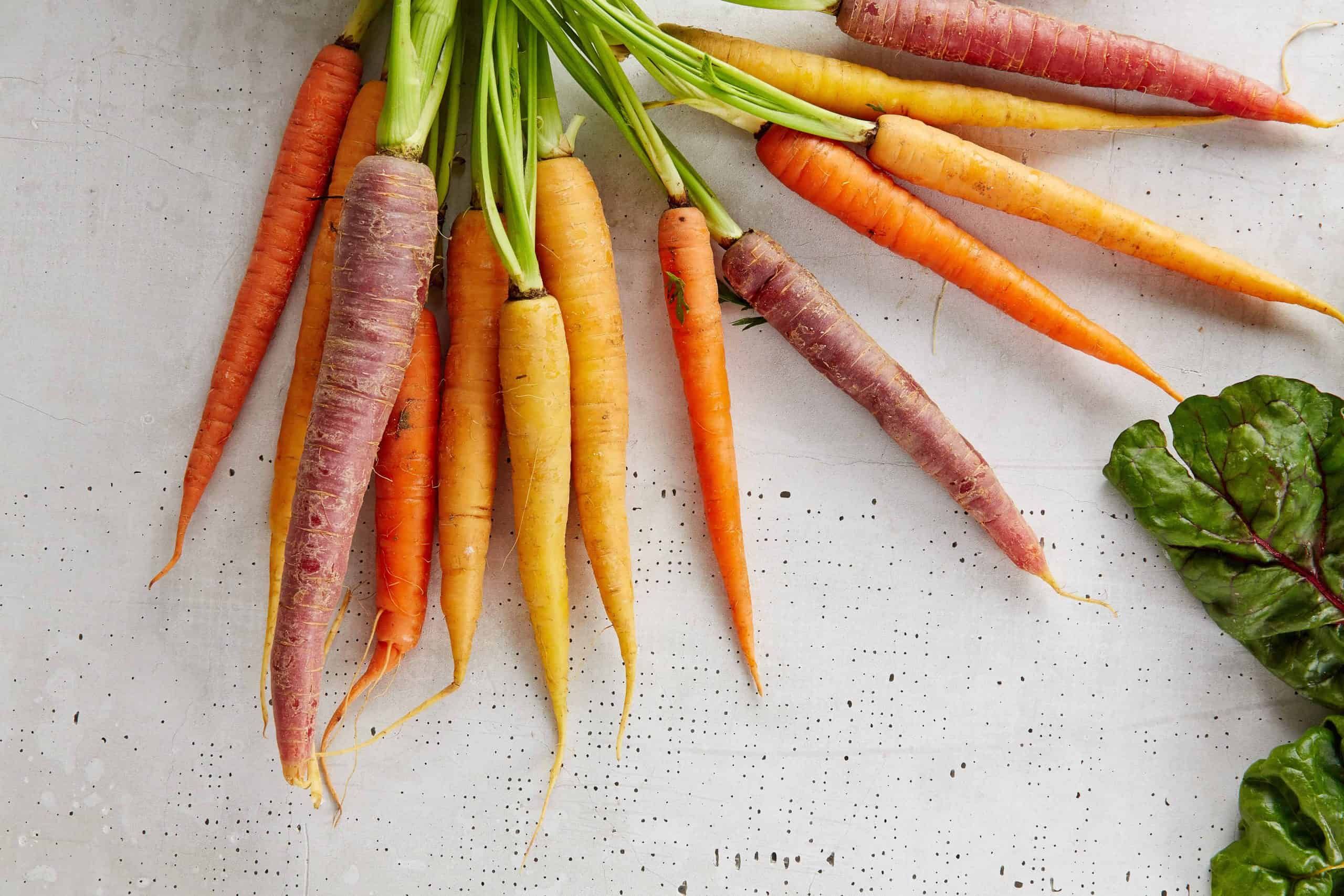 Des carottes fraîches du jardin - Vanessa Daigle, nutritionniste, conférencière et créatrice de contenu